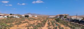 Imagen Antigua