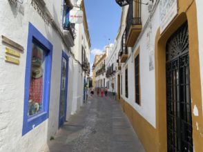 Imagen Centro