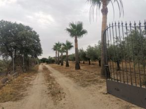Imagen Villanueva de la Serena