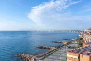 Imagen Raval Roig-El Postiguet