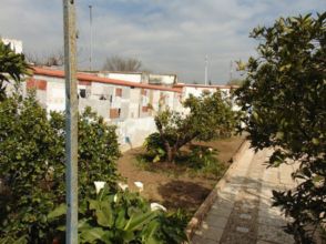 Imagen Alcolea del Río