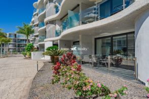 Imagen Palm-Mar