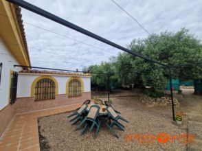 Imagen Alcolea del Río