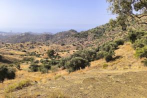 Terreno en Pinares de San Antón