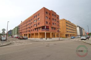 Imagen Nuevo Roces