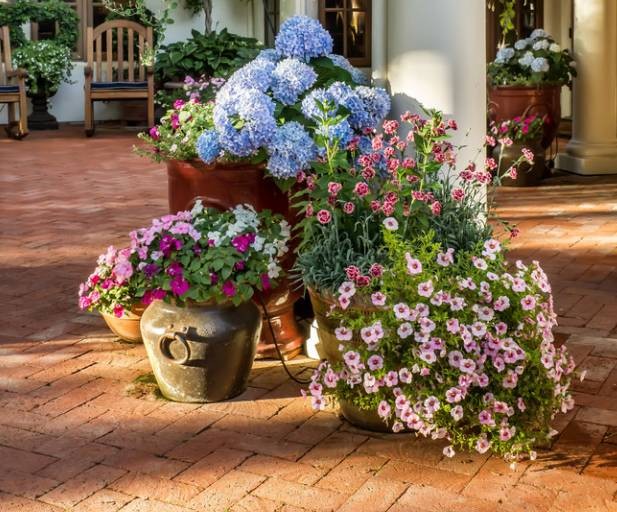 cuidar las flores en oto&ntilde;o