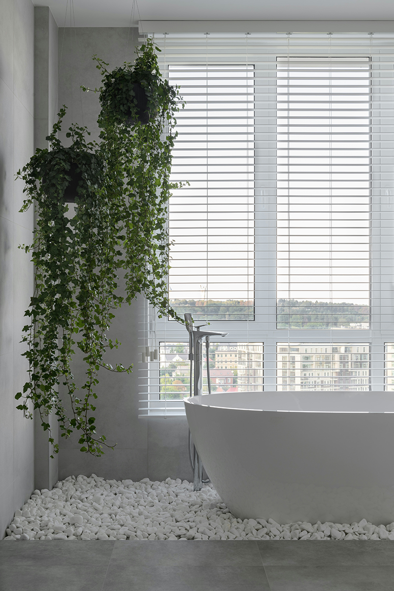 plantas colgantes en el ba&ntilde;o
