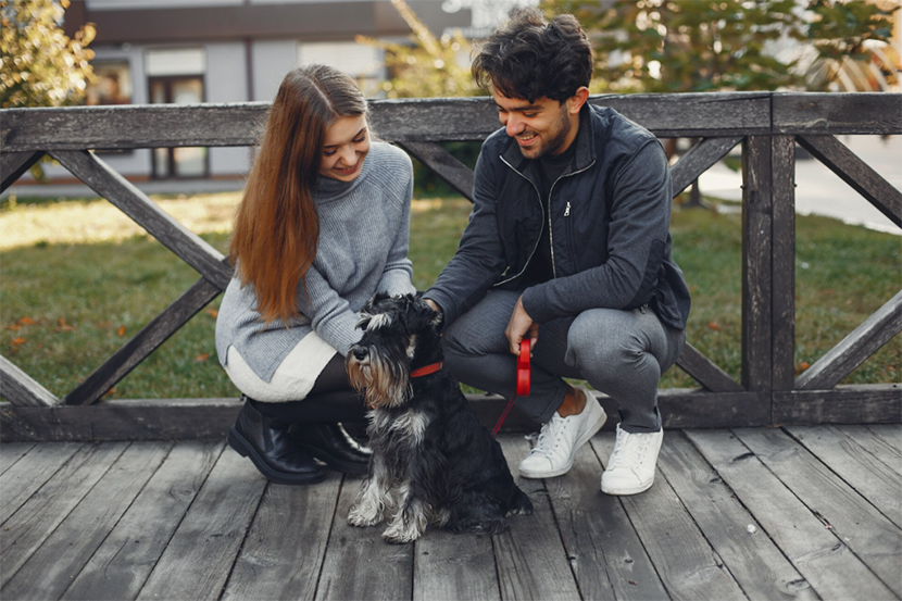 problemas con animales en las comunidad