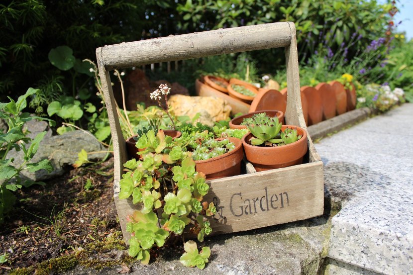jardineras y macetas para un jardín en la azotea