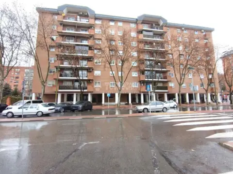 Piso en Avenida de Lope de Figueroa