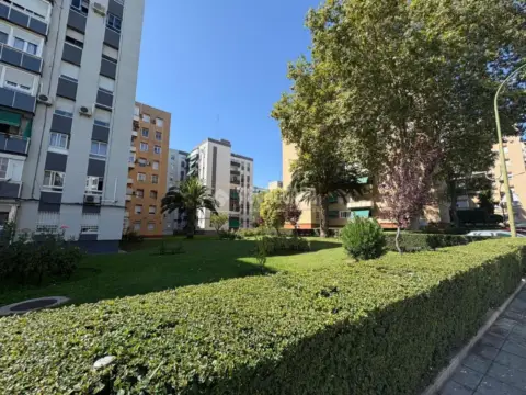 Piso en Sur-Este