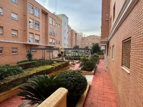 Piso en Pino Montano