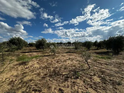 Terreno en Guareña