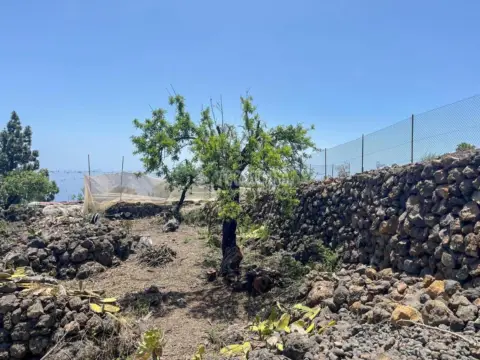 Terreno en Guía de Isora