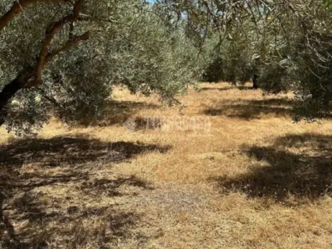 Terreno en Albolote