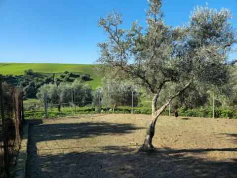 Terreno en El Coronil