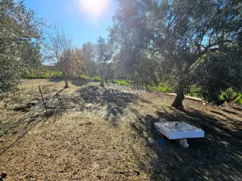 Terreno en El Coronil