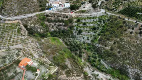 Terreno en Plaza Melero