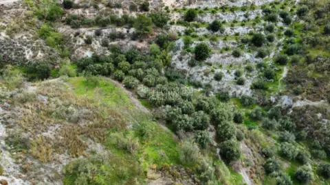 Terreno en Plaza Melero