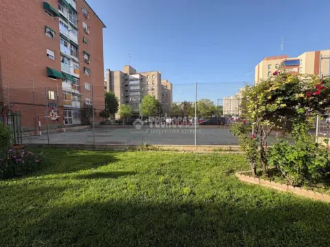 Piso en Sur-Este