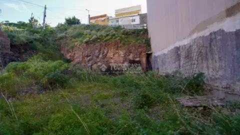 Terreno en La Cuesta-Finca España-Los Valles