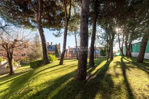 Piso en Casco Antiguo