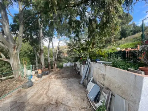 Terreno en calle Chilches Rural