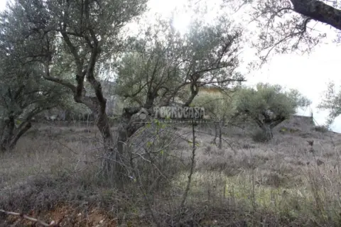 Terreno en Santorcaz