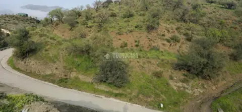 Terreno en Canillas de Aceituno