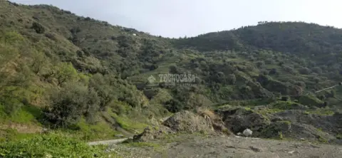 Terreno en Canillas de Aceituno