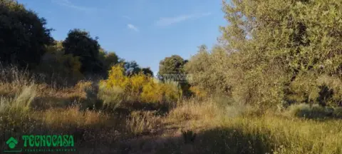 Terreno en Méntrida