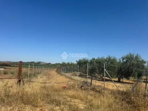 Terreno en Pilas