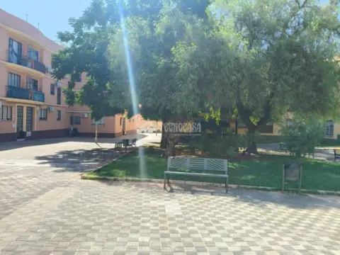 Piso en Centro-Doña Mercedes