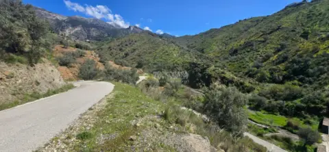 Terreno en Canillas de Aceituno
