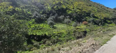Terreno en Canillas de Aceituno