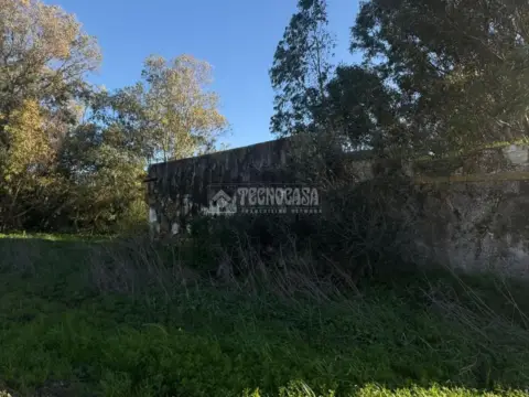Terreno en Vejer de la Frontera