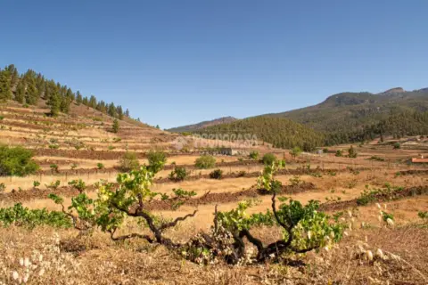 Terreno en Arona Pueblo