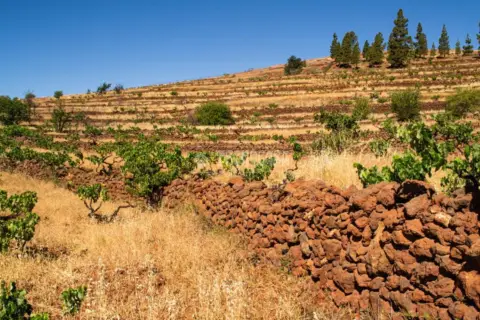Terreno en Arona Pueblo