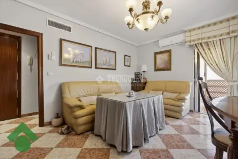 Piso en Santa Rosa-Valdeolleros