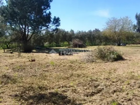 Terreno en Oromana