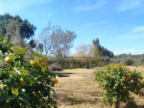 Terreno en Oromana