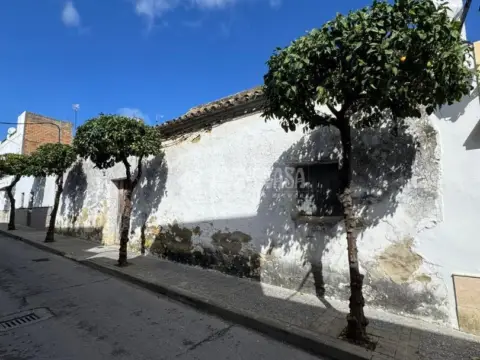 Terreno en Arcos de la Frontera