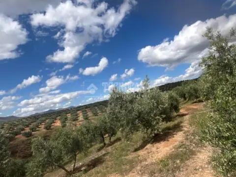 Terreno en Calicasas