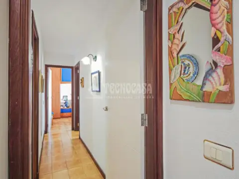 Piso en Avenida del Arquitecto Gómez Cuesta
