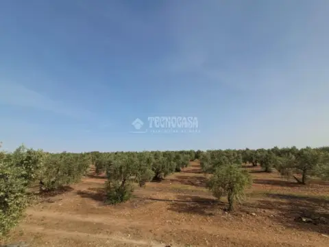 Terreno en Carmona