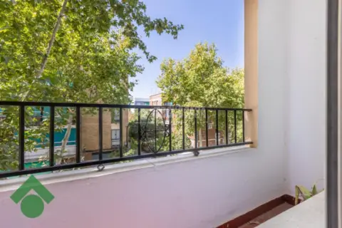 Piso en Santa Rosa-Valdeolleros