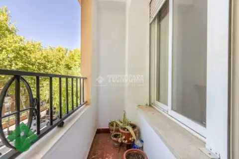 Piso en Santa Rosa-Valdeolleros