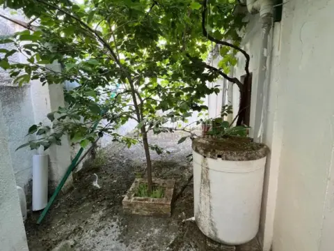 Semi-detached house in Álamos Blancos