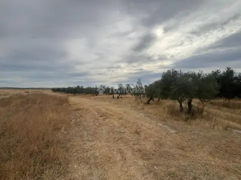 Terreno en Belicena