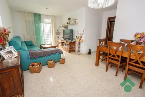 Piso en calle Naturópata Diego Prieto
